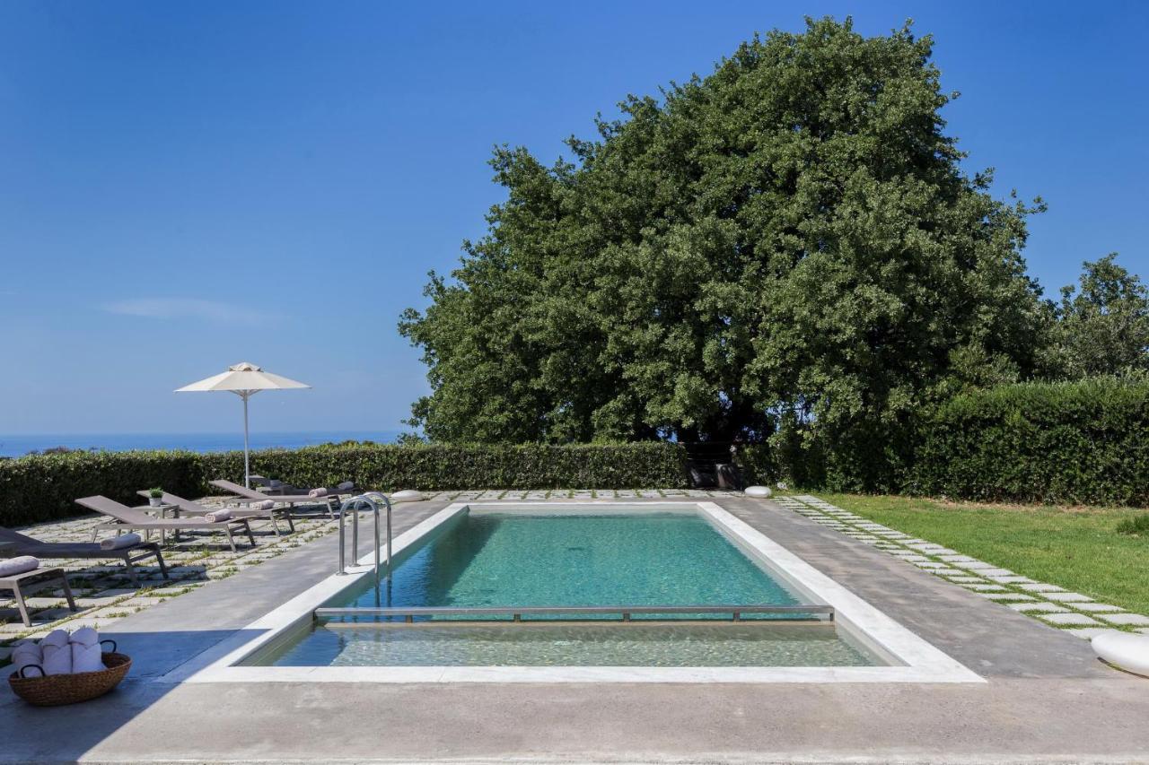 Lux Villa Mia With Heated Pool, 2Km To Beach & Childrens Area! Mikro Metochi Eksteriør billede